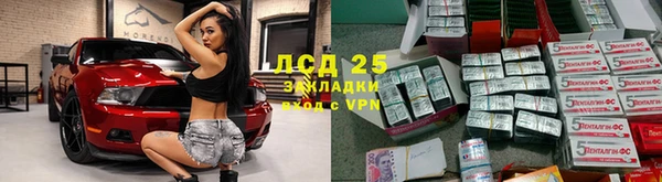 a pvp Алзамай