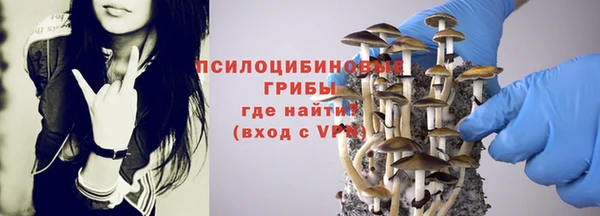 твердый Алексеевка