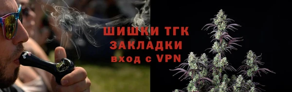 прущие грибы Алексин