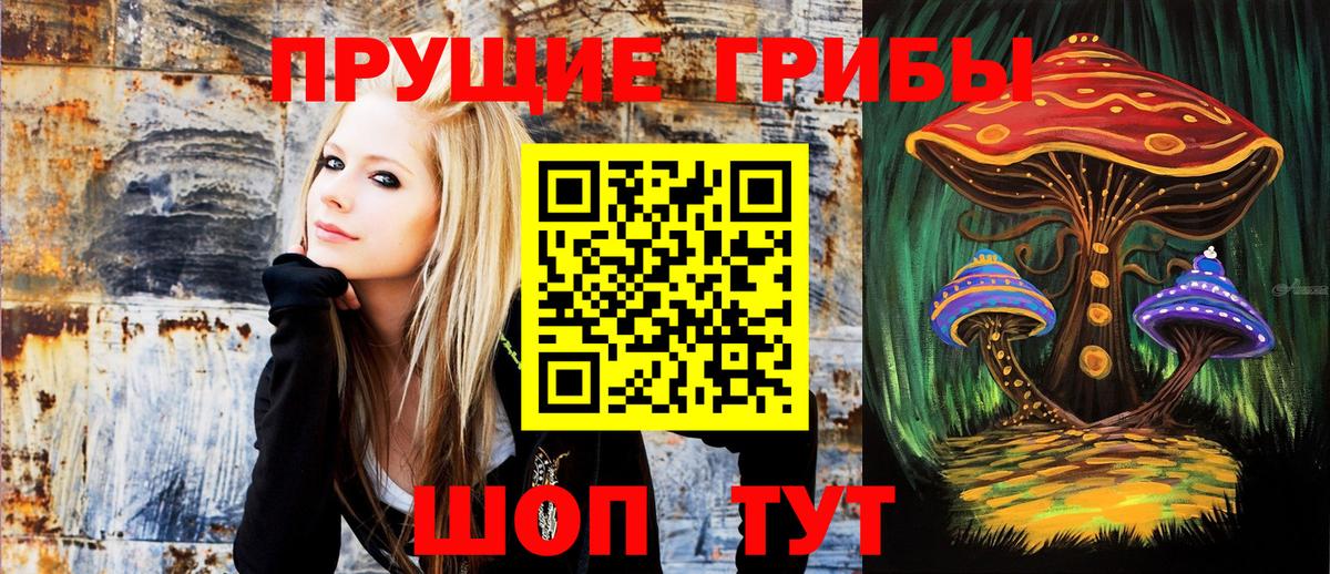 Элиста  Галлюциногенные грибы мицелий  Псилоцибиновые грибы мухоморы  Вход с VPN 