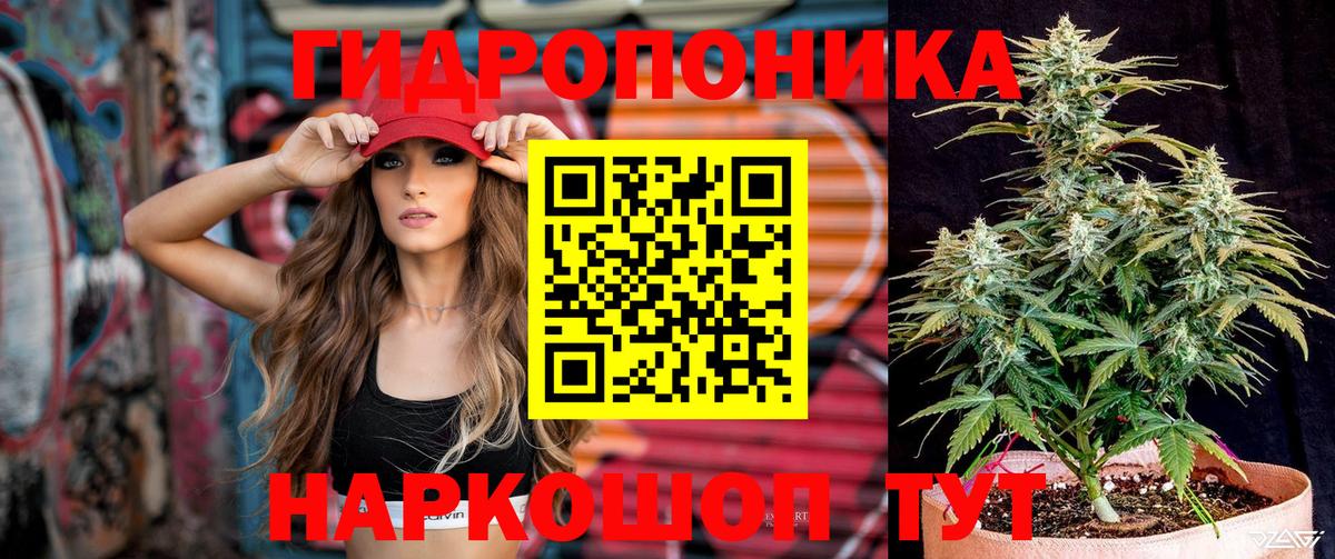 Шишки марихуана конопля Элиста